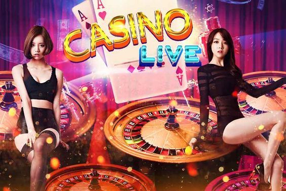 My favourite betting Live Casino